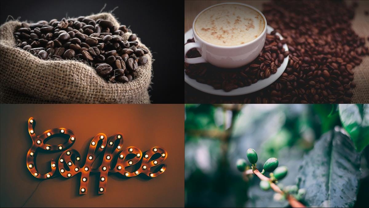 Upptäck smaken av Panama kaffebönor! illustration