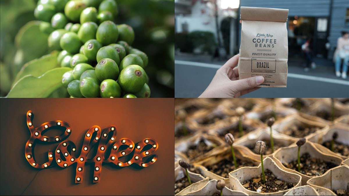 Upptäck varför Sulawesi-kaffebönor är nästa stora grej! illustration